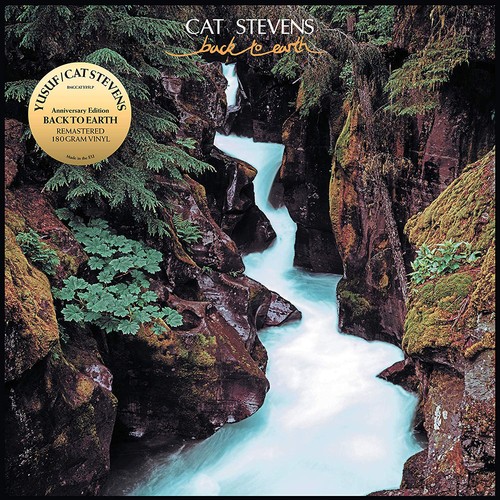 Cat stevens back - cat,